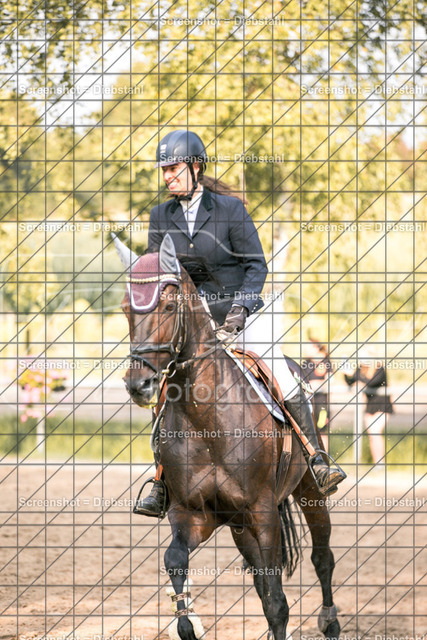 _W6A2321 | ronjaprokoschfotografie - Realisiert mit Pictrs.com