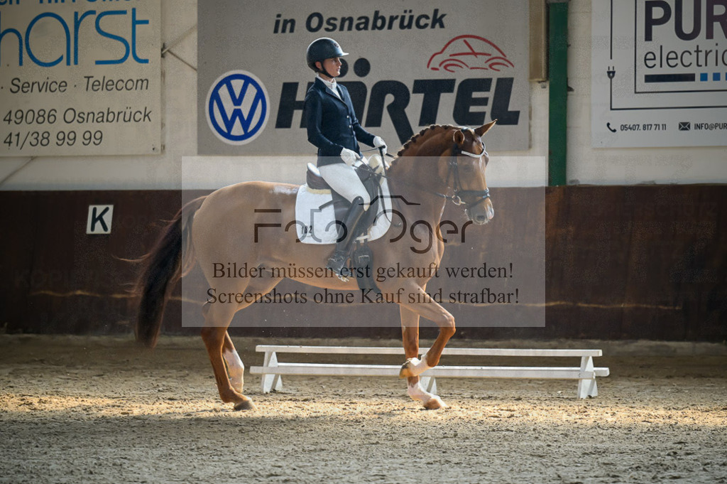 Reitturnier Voxtrup | Entdecke hochwertige Reitturnierfotos von Foto Oger. Professionell, emotional und authentisch – jetzt Lieblingsmomente im Shop bestellen.Deutschlandweite Turnierfotografie. - Realisiert mit Pictrs.com