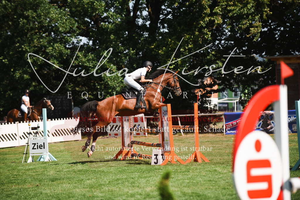 DSC_2810 | Pferde- und Turnierfotografie in Westsachsen. Pferdeportraits, Auftragszeichnungen und intuitive Kunst.