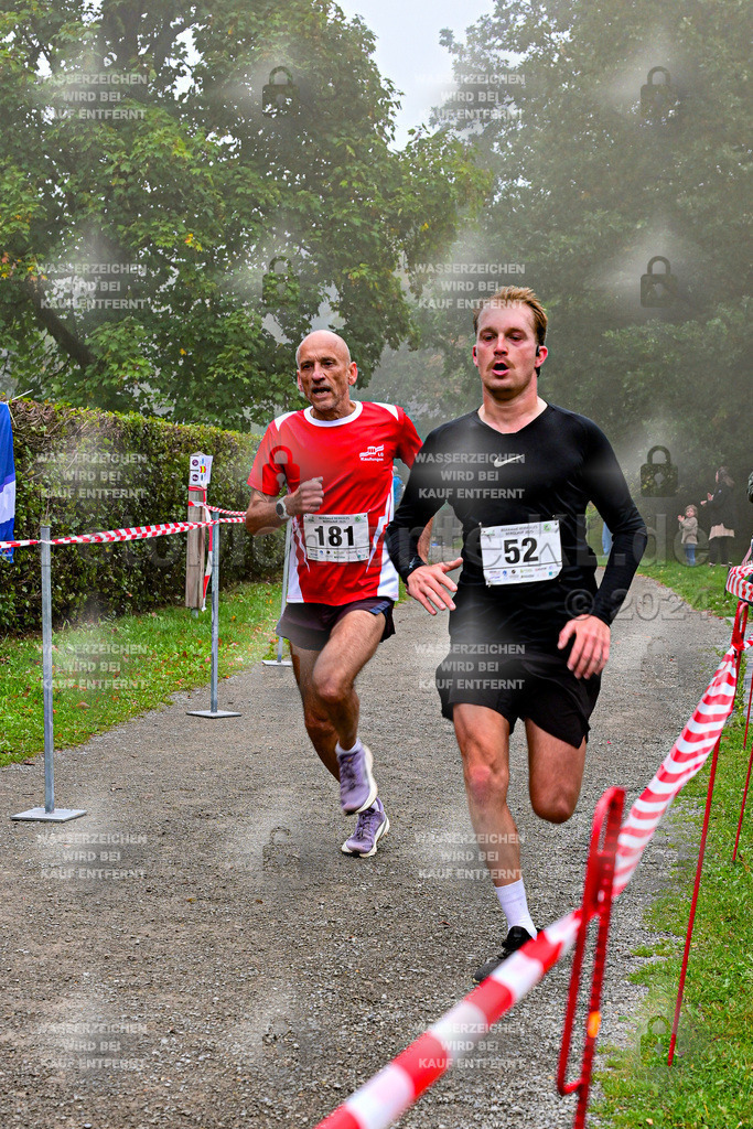 Z8N_1365 | la-psv - Realisiert mit Pictrs.com