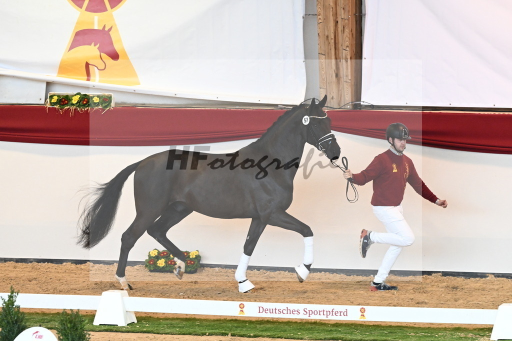 Kat.-Nr. 57 v. McLaren_Schulze Averdiek_2240653 | hf-fotografie - Realisiert mit Pictrs.com