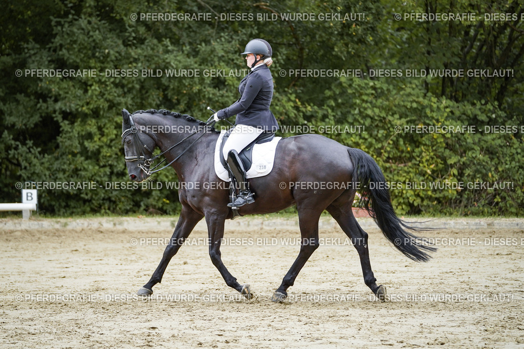 DSC09344 | Pferdegrafie