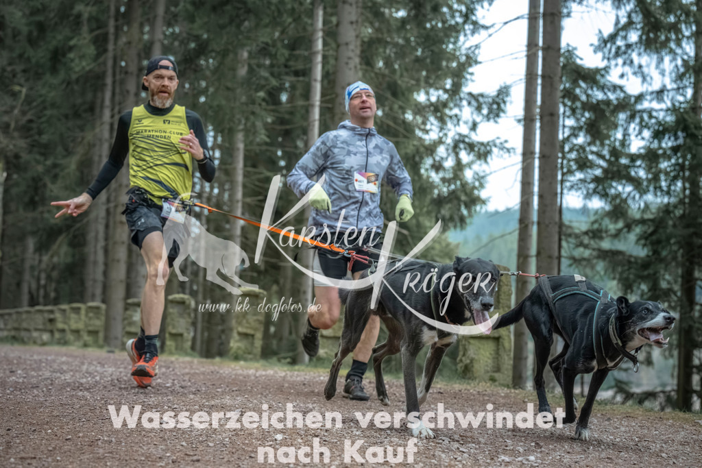 0818_ZZ91094 | kk-dogfotos