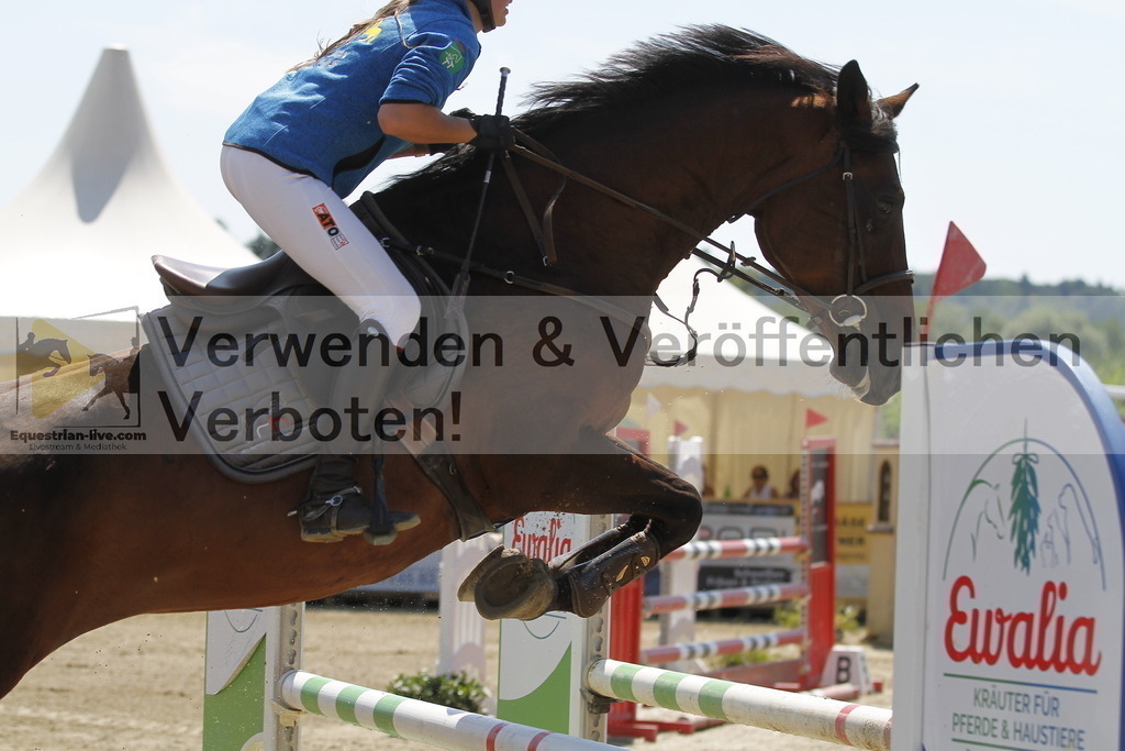 _MG_5734 | equestrian-live-com