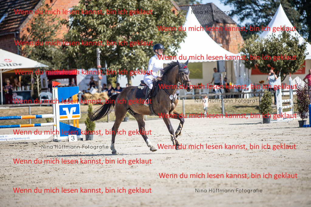 BK1A7032 | Turnierbilder Turnierfotos Nina Hüffmann Turnierfotografie Pferdefotografie Tierzeichnung Haustierzeichnung Pferdezeichnung Hundezeichnung Videograf  - Realisiert mit Pictrs.com