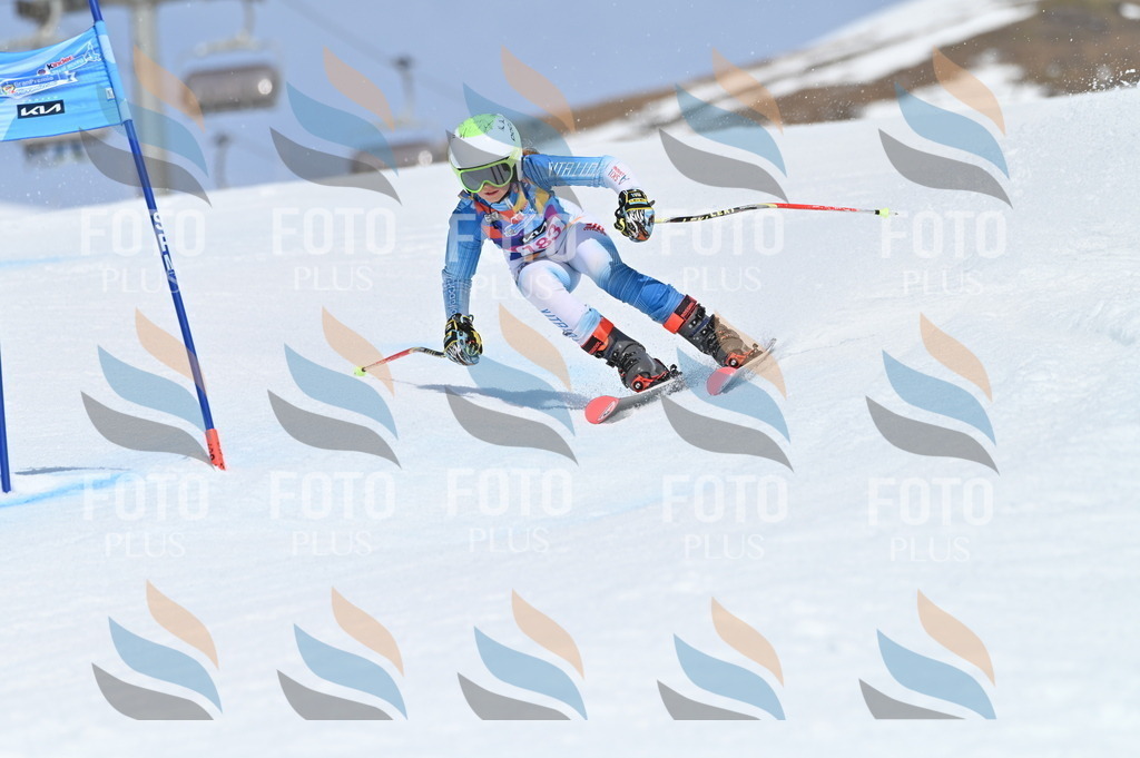 BGV_0671 | holidayphoto