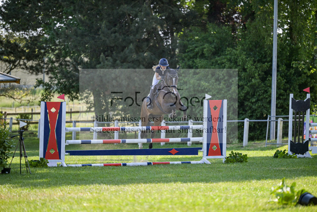 Reitturnier Voxtrup | Entdecke hochwertige Reitturnierfotos von Foto Oger. Professionell, emotional und authentisch – jetzt Lieblingsmomente im Shop bestellen. - Realisiert mit Pictrs.com