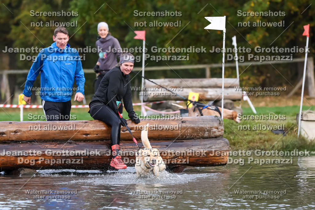 Dog Paparazzi - Strongdog 10-25-6774 | Dog Paparazzi Jeanette Grottendiek Fotografie & Videografie - Realisiert mit Pictrs.com