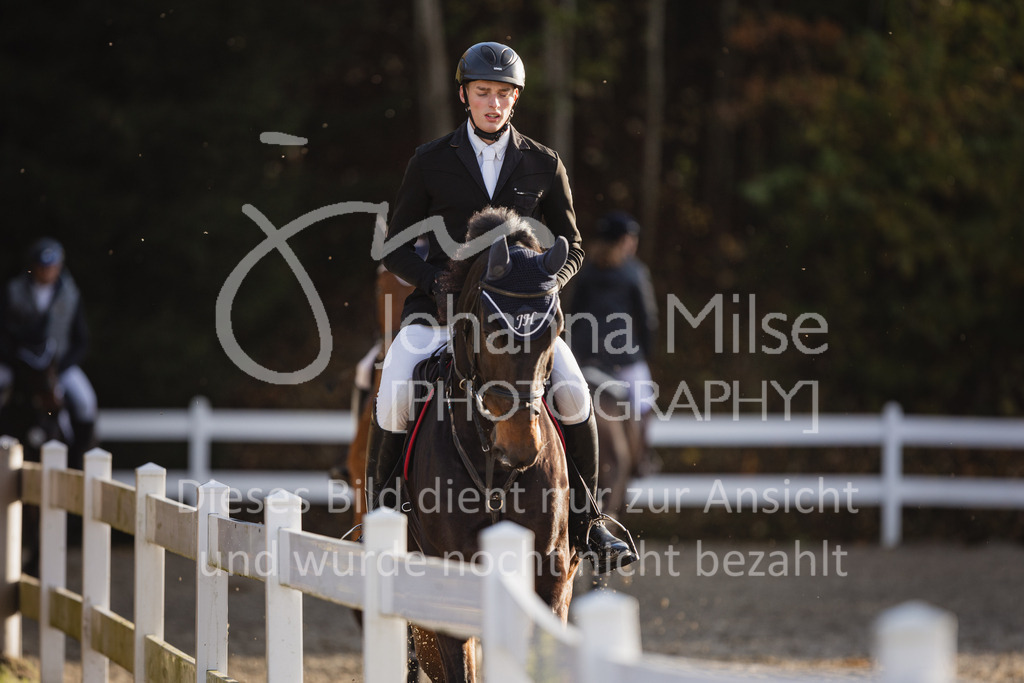 221021_Warstein_M2St_Impressionen-401 | Deine schönsten Turniermomente als professionelle Fotos! Entdecke hochwertige Pferdesport-Fotografie im Online-Shop. Jetzt Fotos finden & bestellen!