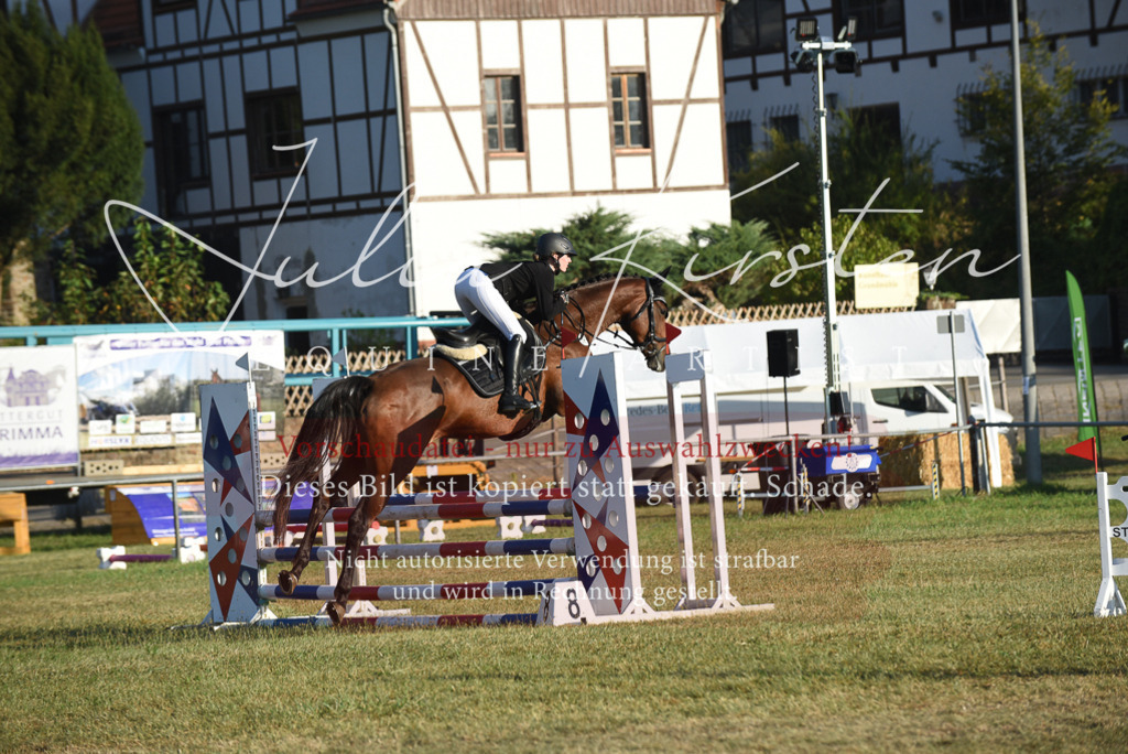DSC_4843 | Pferde- und Turnierfotografie in Westsachsen. Pferdeportraits, Auftragszeichnungen und intuitive Kunst.