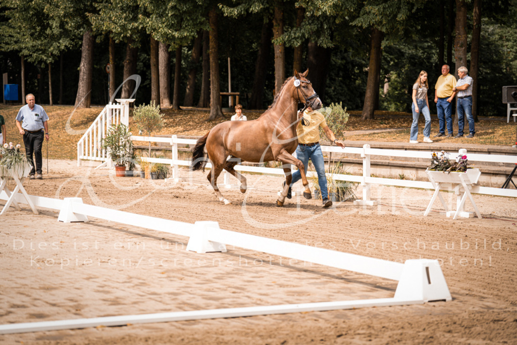 4.Fr00051 | Leoni Ertmer Photography - Realisiert mit Pictrs.com