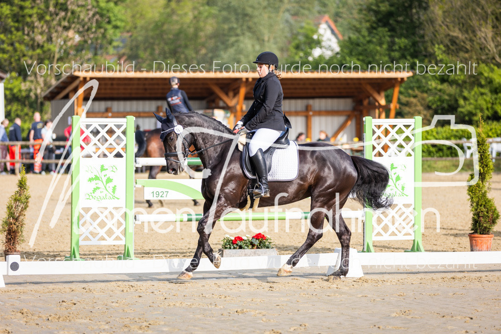 Donop24-A-Dre-023 | MomenTaufnahmen Pferdesportfotos