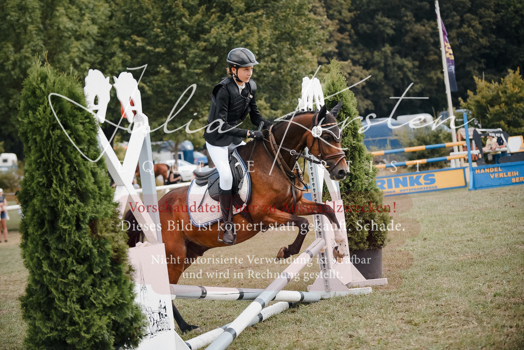 DSC_5433 | Pferde- und Turnierfotografie in Westsachsen. Pferdeportraits, Auftragszeichnungen und intuitive Kunst.