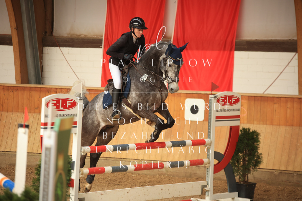 IMGT1037 | pl-fotografie