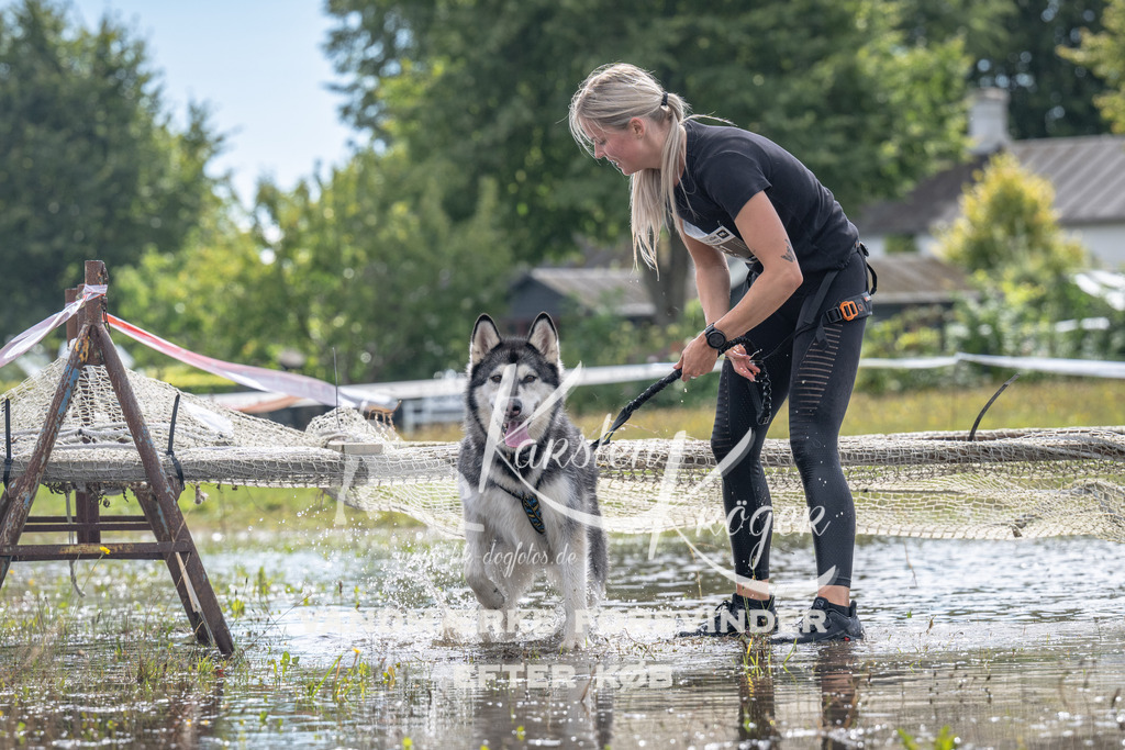 1332_ZZ90090 | kk-dogfotos