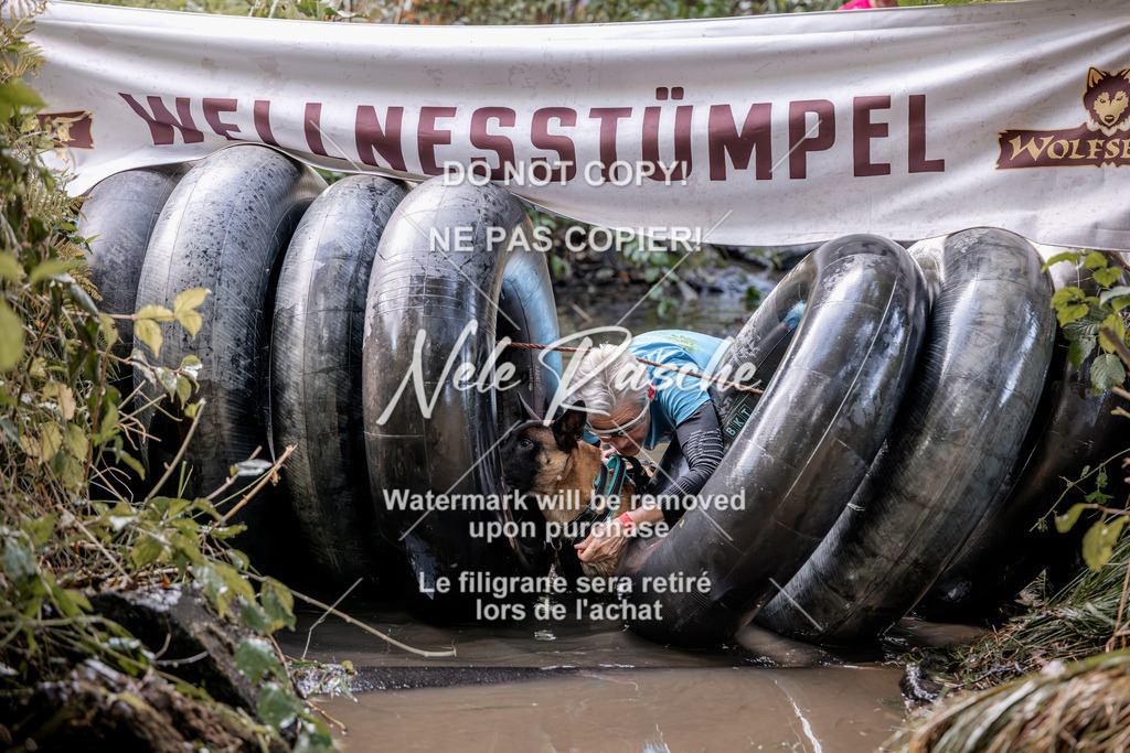 nelerasche_Hunsrück2026_Sa1400-1500_101 | nelerasche