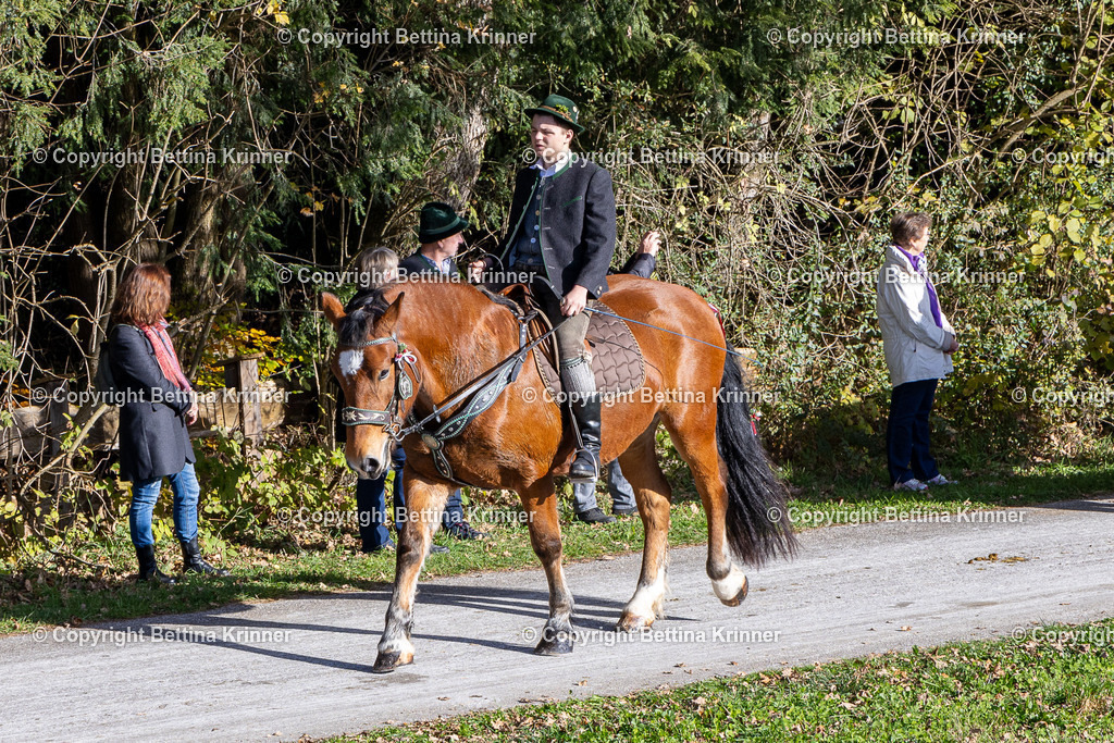 LBT24-963 | foto-bettina-krinner - Realisiert mit Pictrs.com