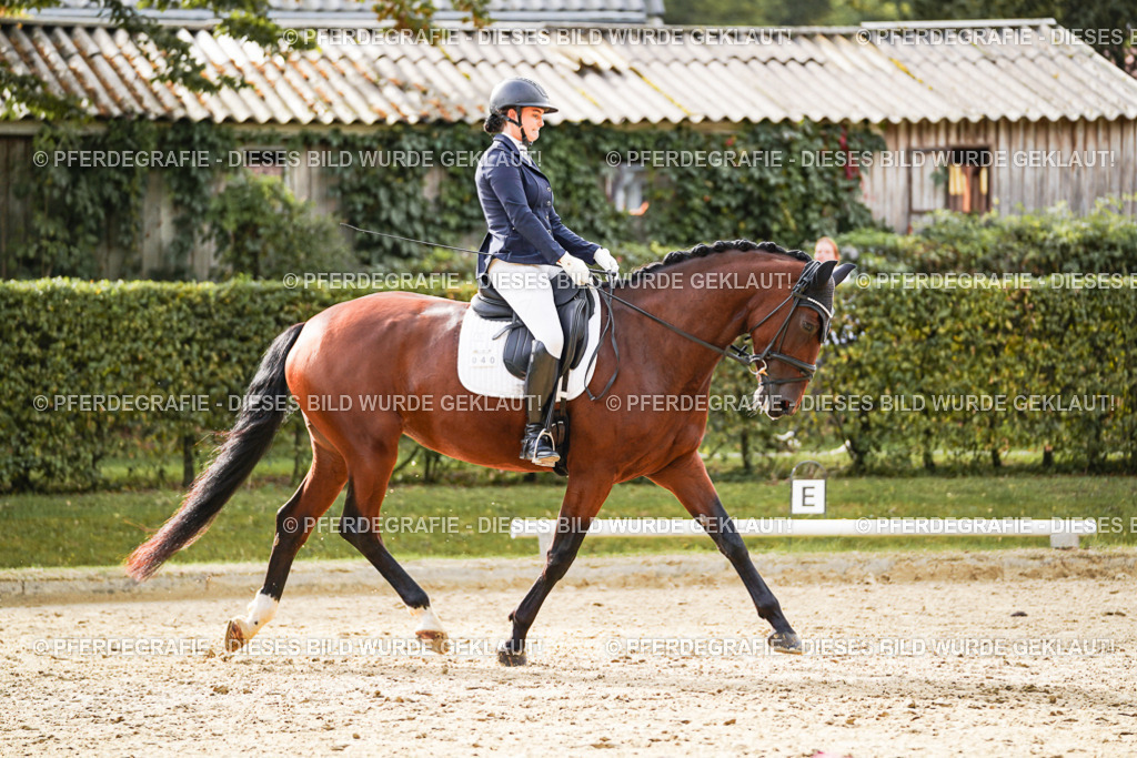 DSC09457 | Pferdegrafie