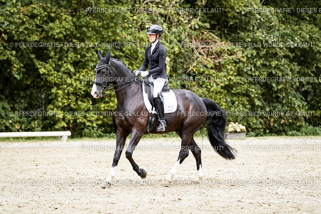 DSC05979 | Pferdegrafie