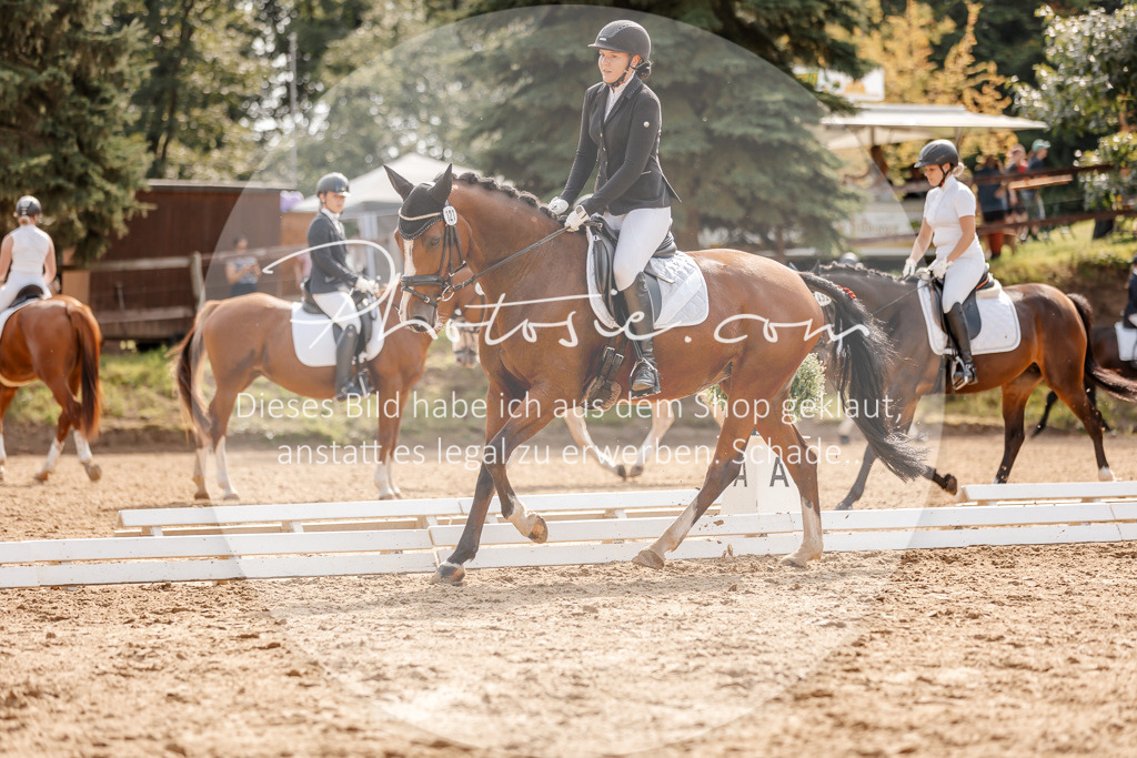 3I6A4291 | Stimmungsvolle Portraits und Reitsportfotografie im Ruhrgebiet und im Münsterland.

Pferdefotografie, Hundefotografie, Tierfotografie, Reportagen, Portraits von Tier und Mensch, Turnierfotografie in Bochum, Recklinghausen, Marl, Haltern am See, Dülmen.. - Realisiert mit Pictrs.com