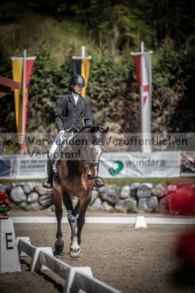 DSC_0285 | equestrian-live-com