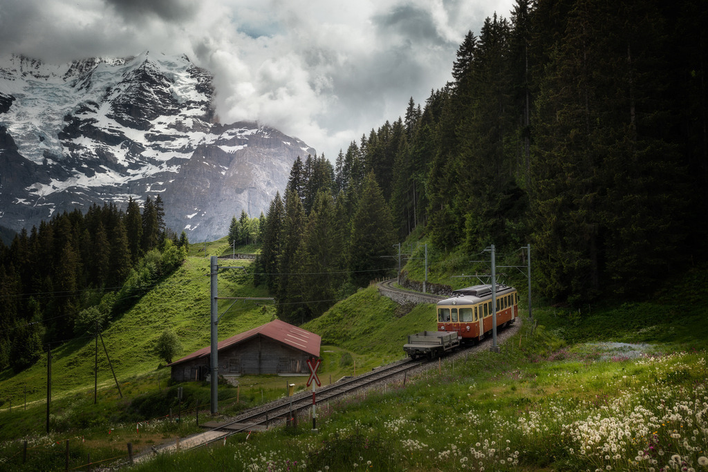 Train in the Alps | tobiasneyer - Realisiert mit Pictrs.com