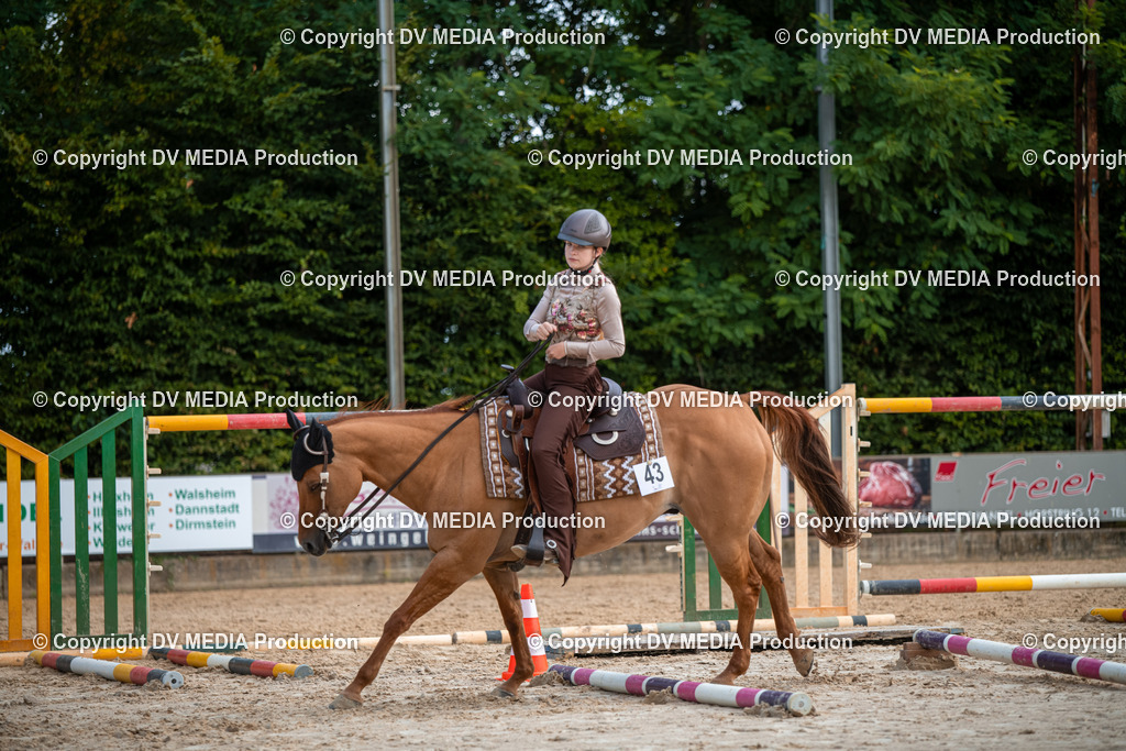 ZS3_9303 | dv-media-shop - Realisiert mit Pictrs.com