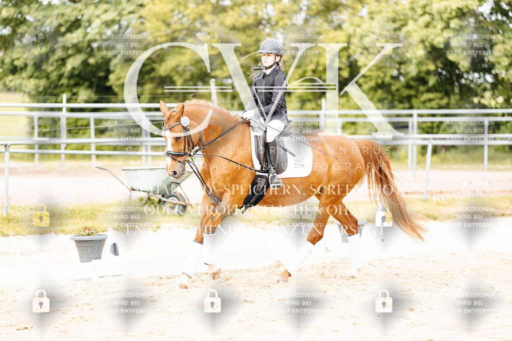 CK904316 | Turnierfotografie Pferdefotografie Trier Rheinland-Pfalz Pferdesport Reitsport Tierfotografie Sportfotografie Pferdevideo Pferdevideografie Equestrianvideography equestrianphotography  - Realisiert mit Pictrs.com