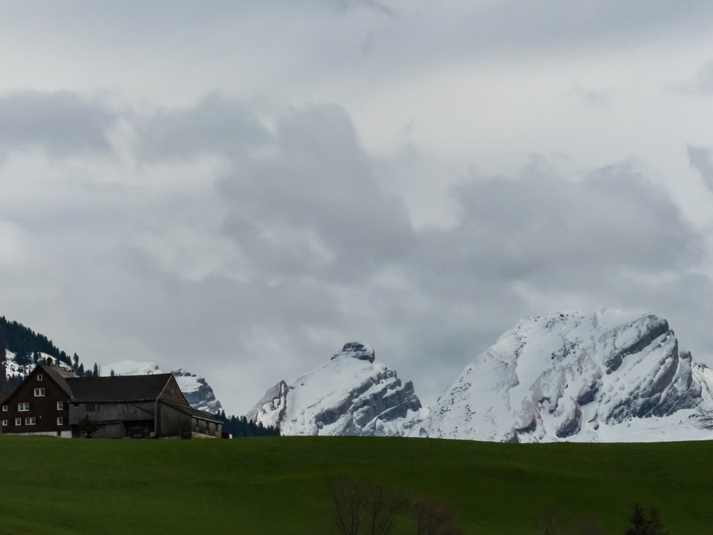 PSX_20230402_000426 | mtkfoto_ - Realisiert mit Pictrs.com