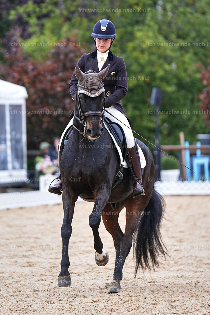 07-191-DRESSUR  S___  -Marixx-5122 | working equitationturnier fotograf videograf stoibphotography marixx film working equitation deutschland reitsport turnierfotografie eventfotografie equestrian events
