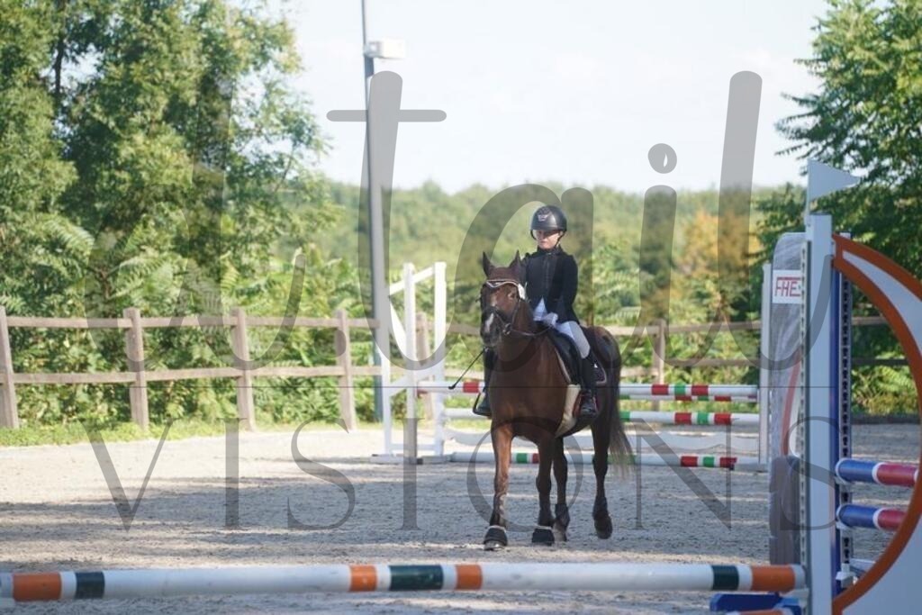 tgbhsonntag (114) | d.tail Visions - Shop - Realisiert mit Pictrs.com