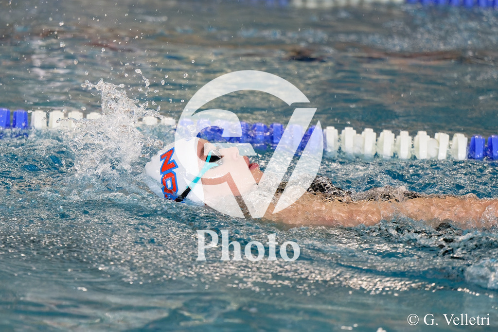 DSC_0829 | Velletri Photo