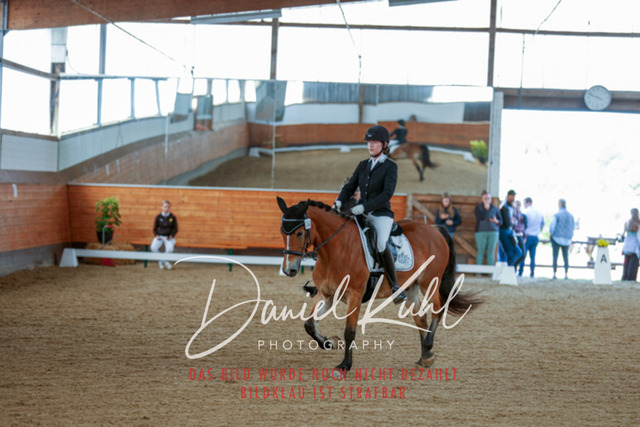 _62_7517 | Turniersportfotografie; Pferdefotografie; Dressurfotografie