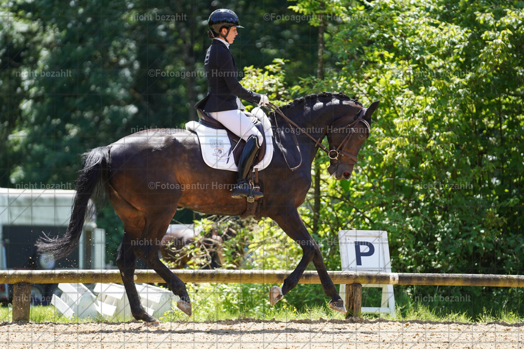 20240705-FAH04125 | Turnierbilder von Grafing, Reitsportbilder, Turnierfotos, Turnierfotografen Bayern, Pferdefotograf, Fotoagentur Herrmann