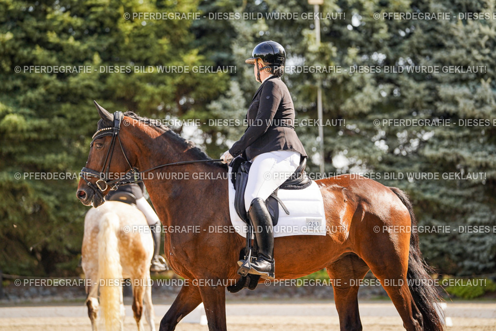 DSC00512 | Pferdegrafie