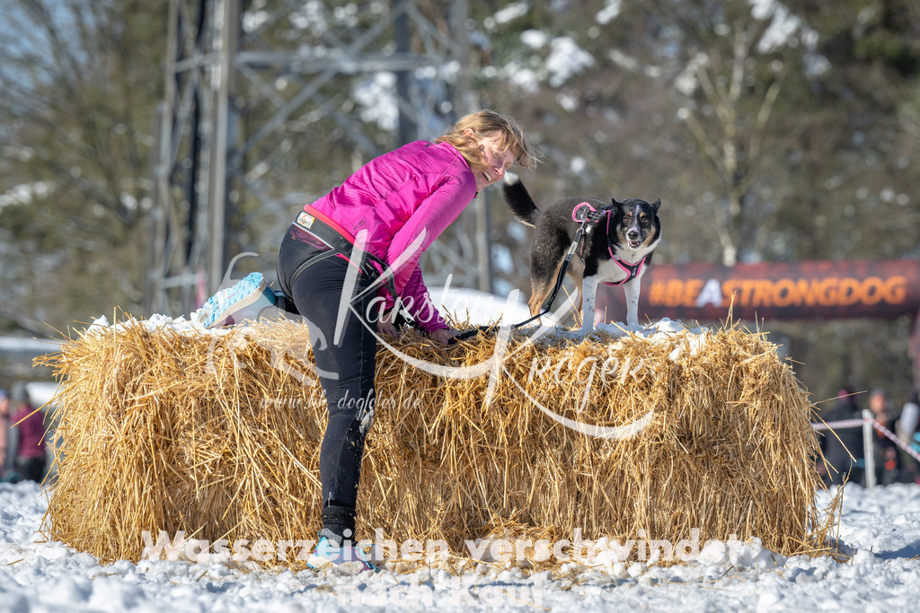 1115_ZZ90864-3 | kk-dogfotos