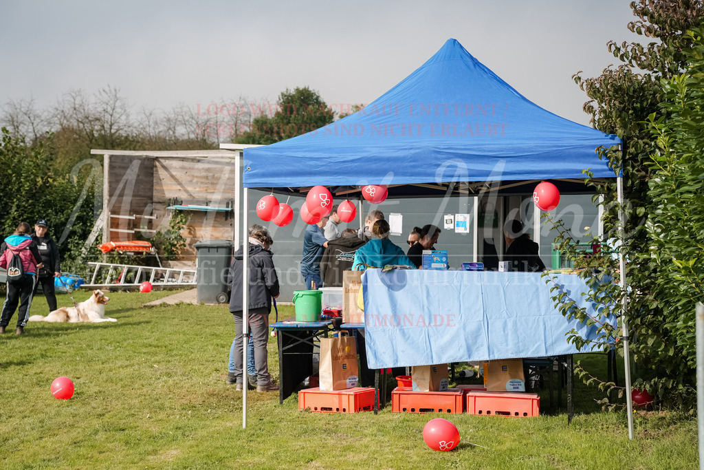 20250928_Hunderennen-357 | MuT (Mensch und Tier) mit Mona - Fotografie und Tierkommunikation - Realisiert mit Pictrs.com