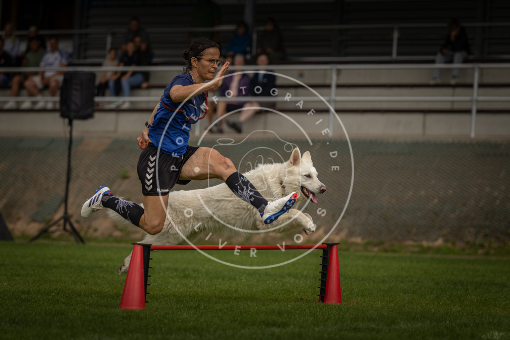 Pfotenfotografie_DV3A7557 | Hundefotografie, Tierfotograf, Pfotenfotografie, Fotoshooting Hund, Hunde Portrait, Hundesport, Hundeportraits, Heideshooting, Hunde, Sportfotograf, Hundefotograf, Turnierhundsport, THS,  - Realisiert mit Pictrs.com