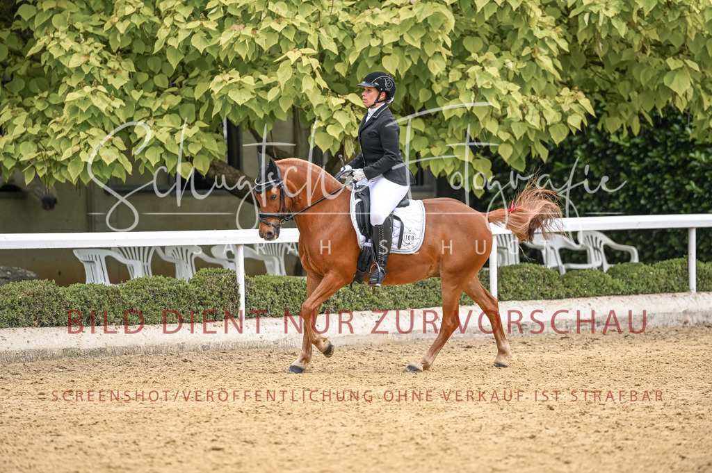 Schugtsche-Aluta25-41.Amat-Dressurprf.A_-580 | Schugtsche Fotografie - Realisiert mit Pictrs.com