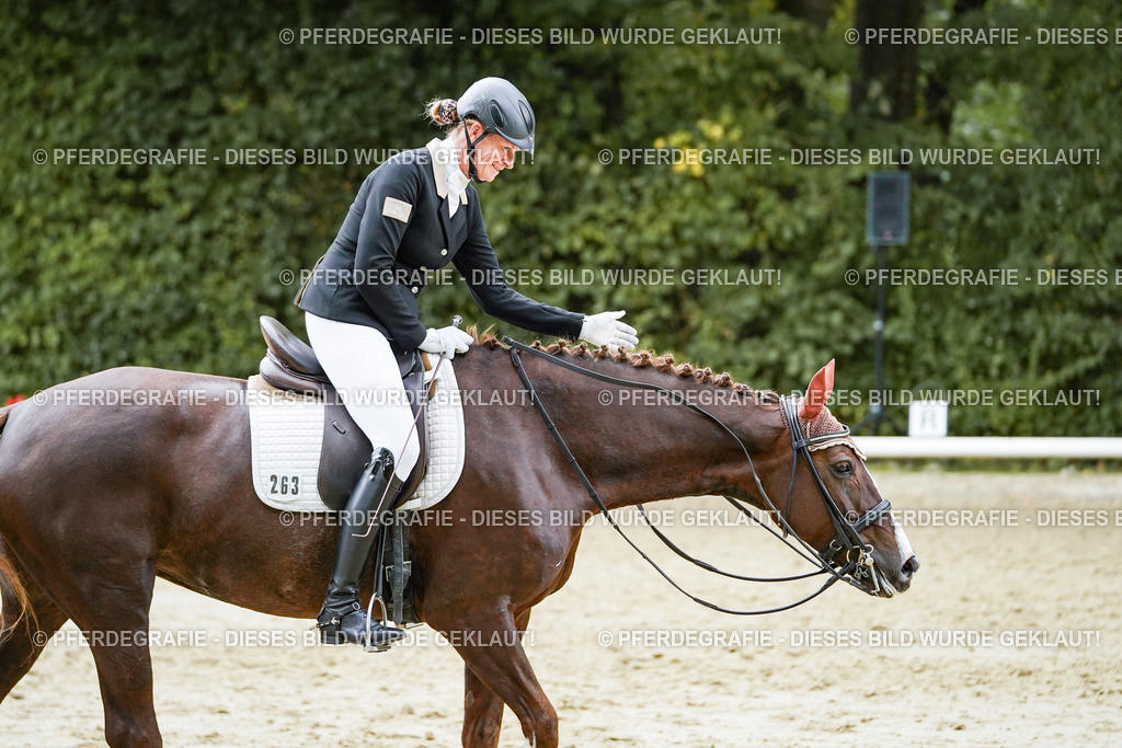 DSC06917 | Pferdegrafie