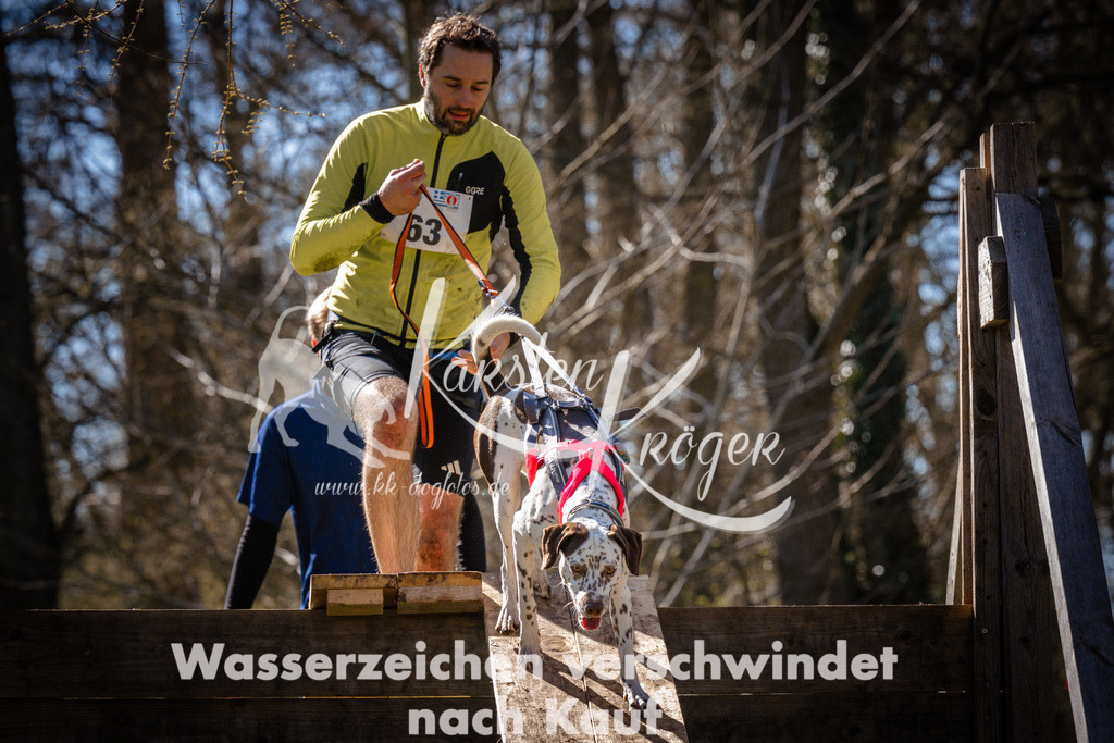 0942_ZZ96580 | kk-dogfotos