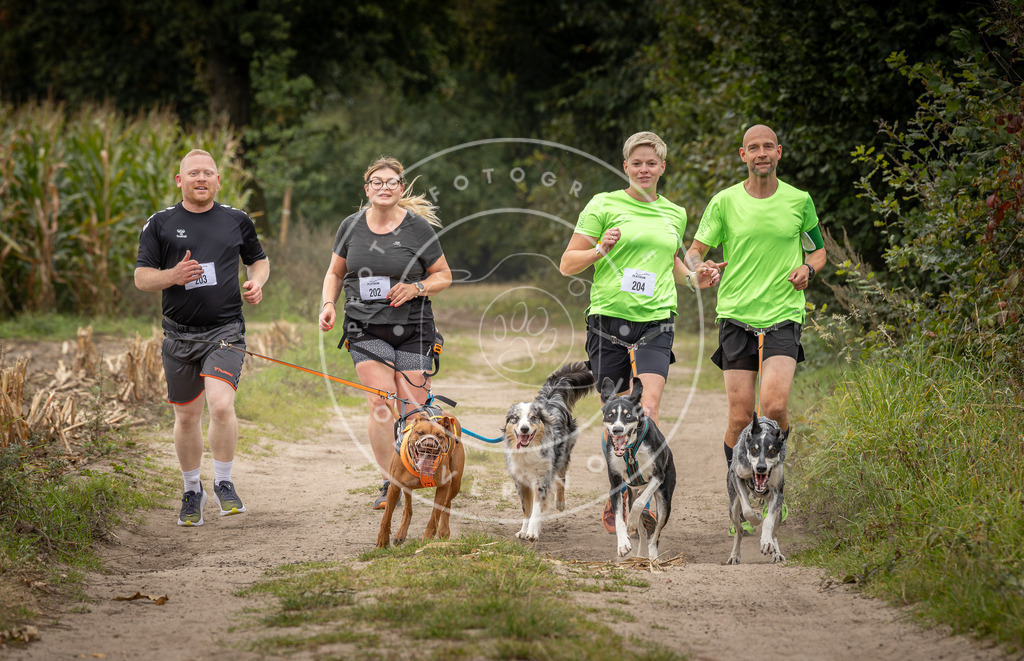 Pfotenfotografie_DV3A7436 | Hundefotografie, Tierfotograf, Pfotenfotografie, Fotoshooting Hund, Hunde Portrait, Hundesport, Hundeportraits, Heideshooting, Hunde, Sportfotograf, Hundefotograf, Turnierhundsport, THS,  - Realisiert mit Pictrs.com