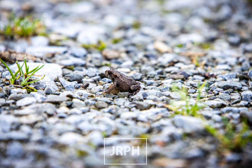 IMG_7966 | jrph - Realisiert mit Pictrs.com