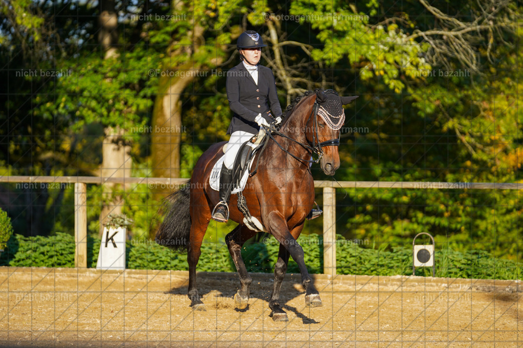 20221007-FAH00415 | Diessen am Ammersee, 2022, Dressur- und Springturnier, Reitsportbilder, Turnierfotografen Bayern, Pferdefotografen, Fotoagentur Herrmann, Turnierbilder