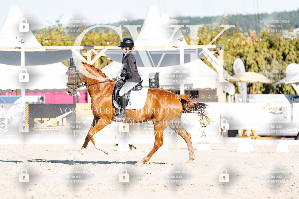 CK907183 | Turnierfotografie Pferdefotografie Trier Rheinland-Pfalz Pferdesport Reitsport Tierfotografie Sportfotografie Pferdevideo Pferdevideografie Equestrianvideography equestrianphotography  - Realisiert mit Pictrs.com