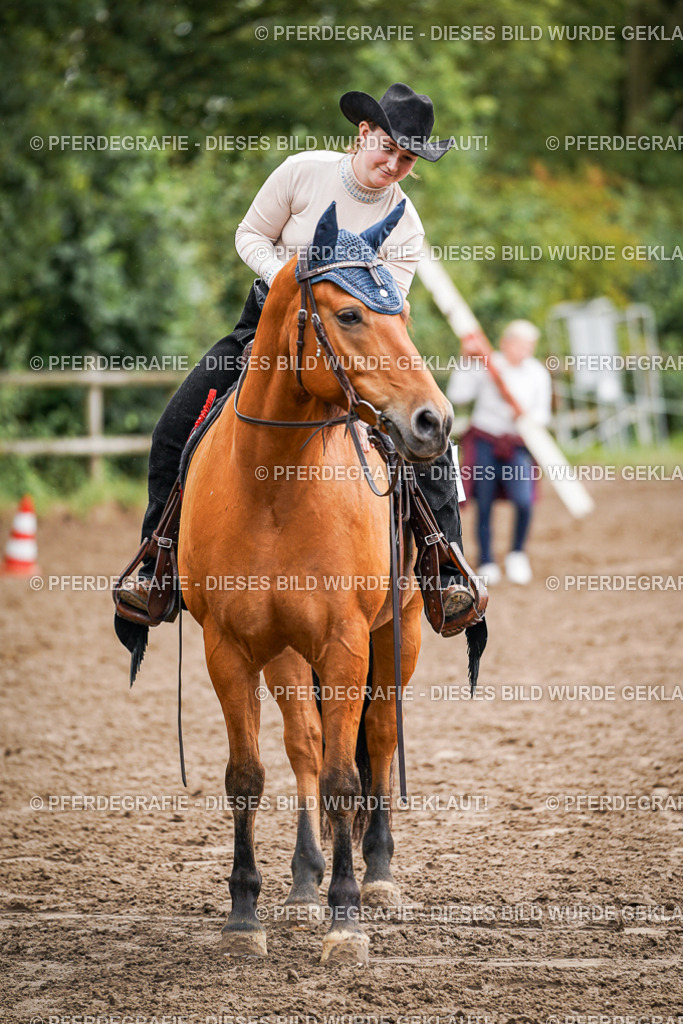 DSC04580 | Pferdegrafie