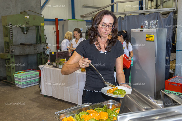 Verleihung des Kärntner Landeswappen an die Firma EFG | Bildershop von pixelworld.at - Realisiert mit Pictrs.com