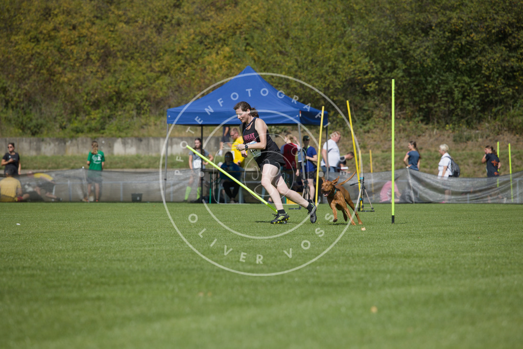 0L8A5986 | Hundefotografie, Tierfotograf, Pfotenfotografie, Fotoshooting Hund, Hunde Portrait, Hundesport, Hundeportraits, Heideshooting, Hunde, Sportfotograf, Hundefotograf, Turnierhundsport, THS,  - Realisiert mit Pictrs.com