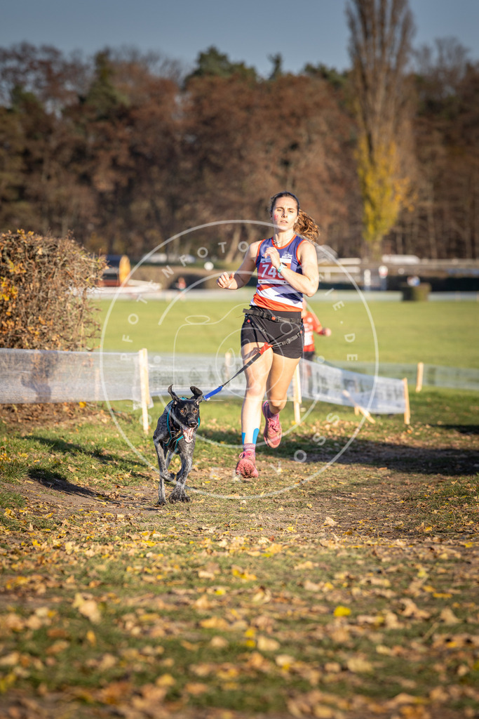 CaniXpix_DV3A2309 | Hundefotografie, Tierfotograf, Pfotenfotografie, Fotoshooting Hund, Hunde Portrait, Hundesport, Hundeportraits, Heideshooting, Hunde, Sportfotograf, Hundefotograf, Turnierhundsport, THS,  - Realisiert mit Pictrs.com