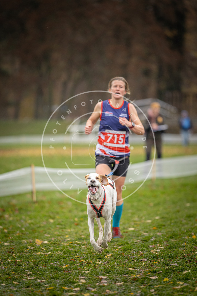 CaniXpix_DV3A9133 | Hundefotografie, Tierfotograf, Pfotenfotografie, Fotoshooting Hund, Hunde Portrait, Hundesport, Hundeportraits, Heideshooting, Hunde, Sportfotograf, Hundefotograf, Turnierhundsport, THS,  - Realisiert mit Pictrs.com